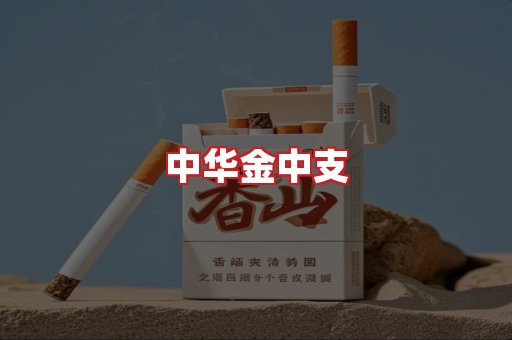 中华金中支